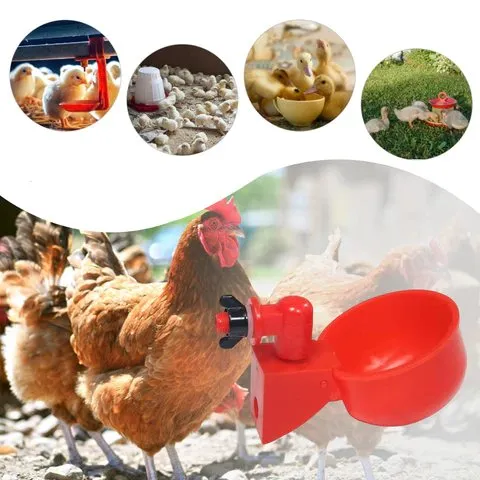 Automatic Chicken Water Cup - 5 Pcs Chicken Water Cup Automatic Drinker for Chickens