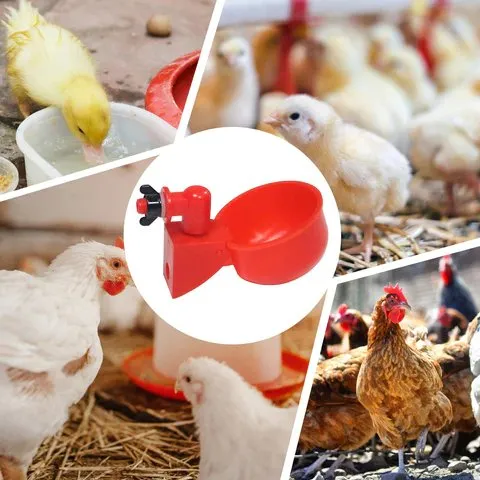 Automatic Chicken Water Cup - 5 Pcs Chicken Water Cup Automatic Drinker for Chickens