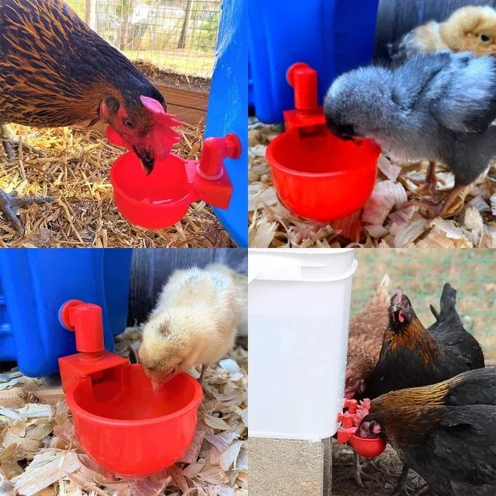 Automatic Chicken Water Cup - 5 Pcs Chicken Water Cup Automatic Drinker for Chickens