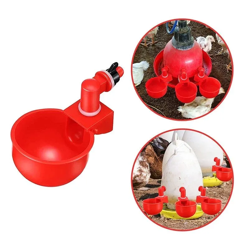 Automatic Chicken Water Cup - 5 Pcs Chicken Water Cup Automatic Drinker for Chickens