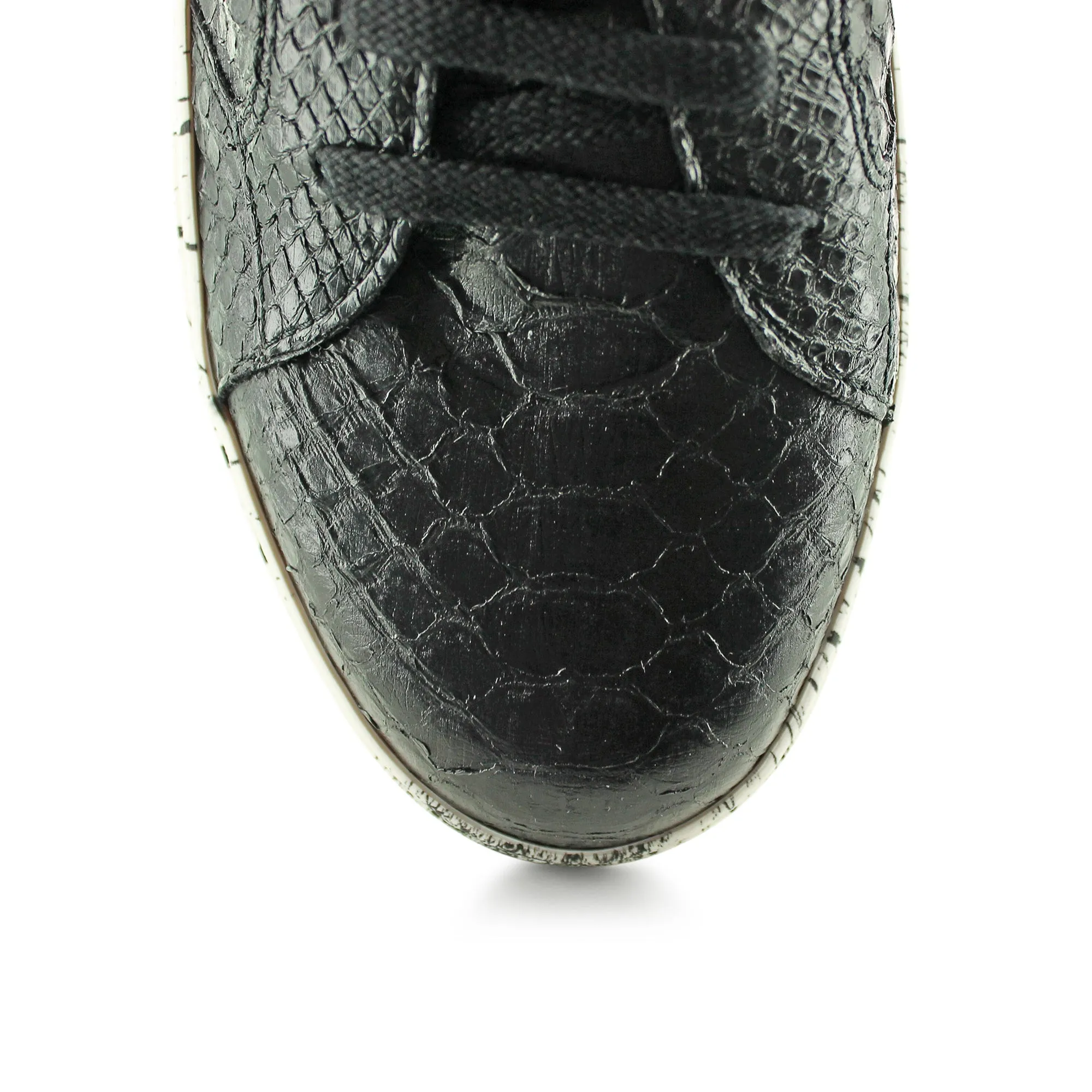 LU32526 - Black Python Splash