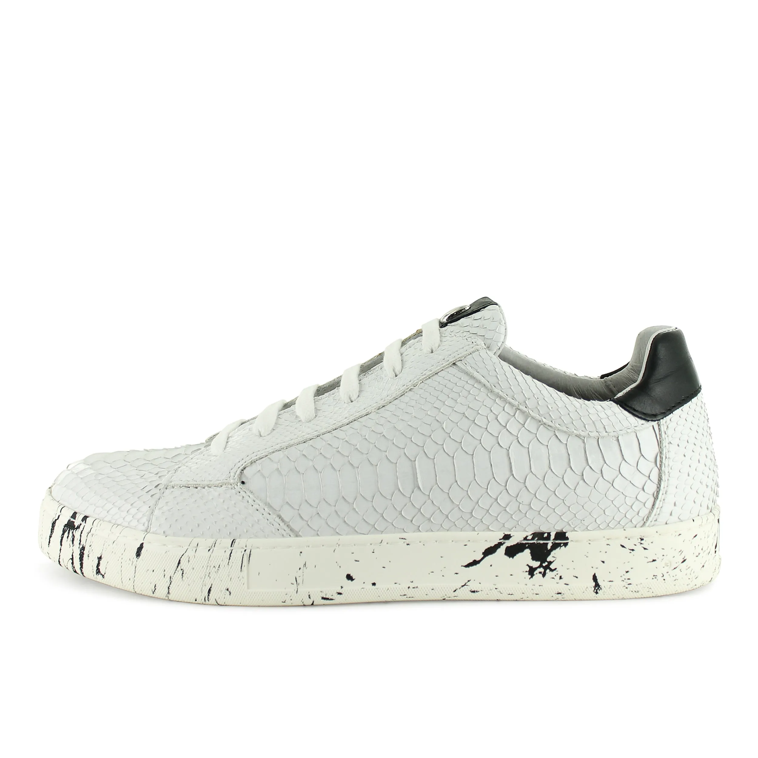 LU32526 - White Python Splash