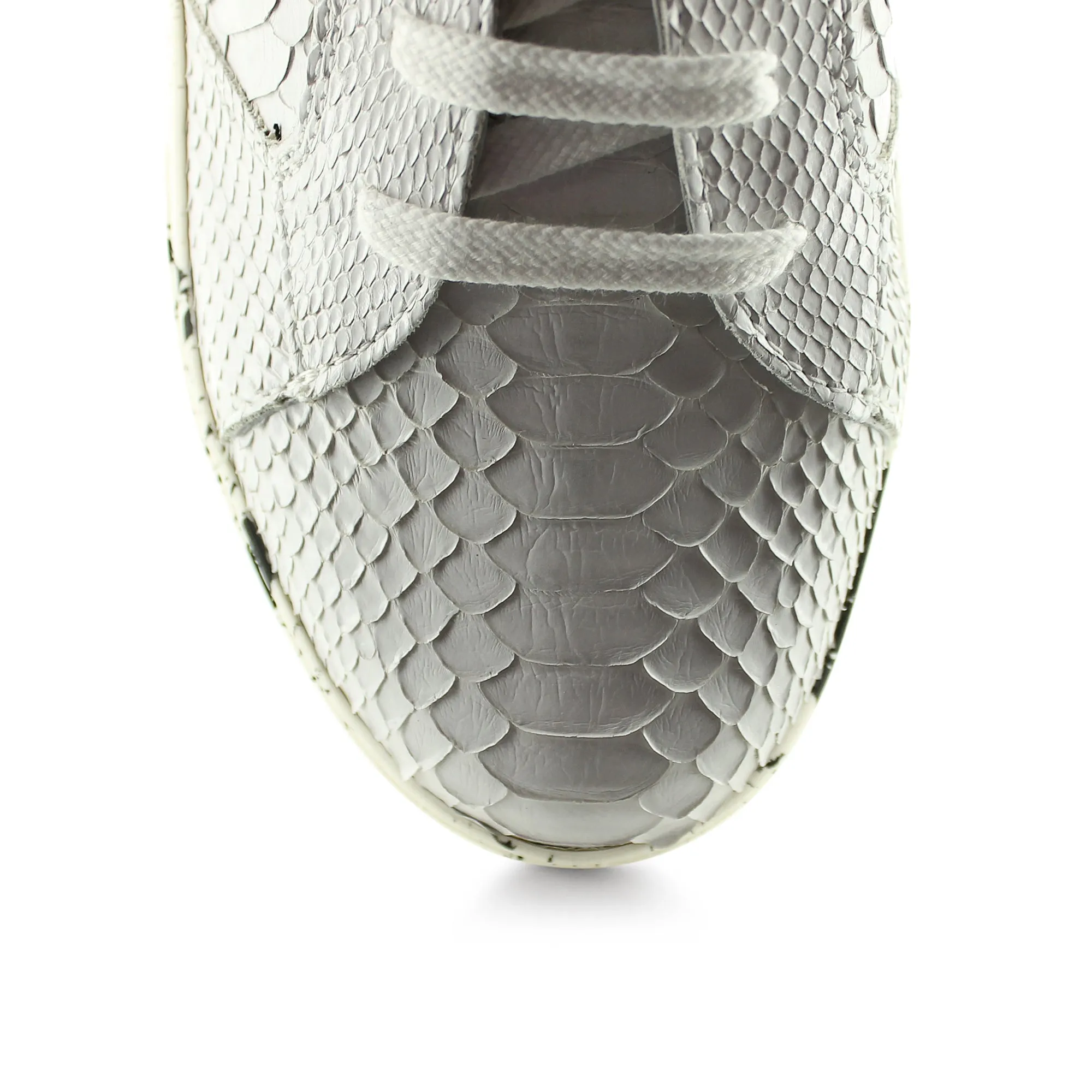 LU32526 - White Python Splash