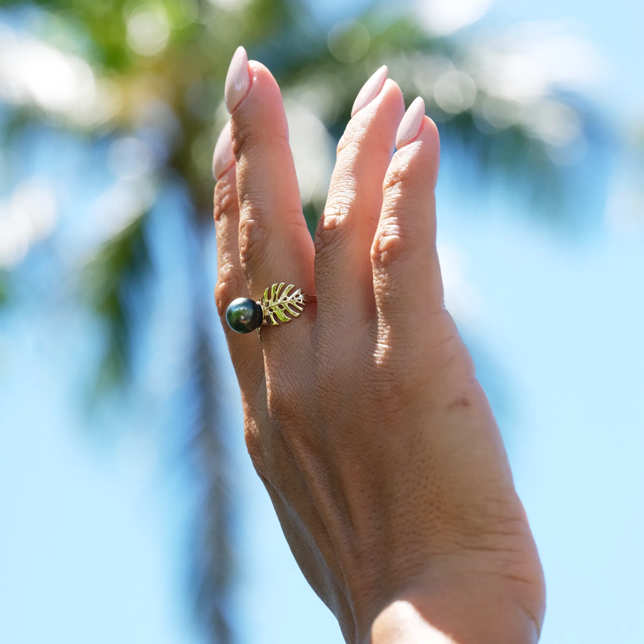 Monstera Tahitian Black Pearl Ring in Gold - 8-9mm